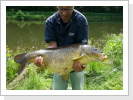 Karpfen 18 Kg - Olaf am 11.6.16 Karpfen 18 Kg - Olaf am 11.6.16